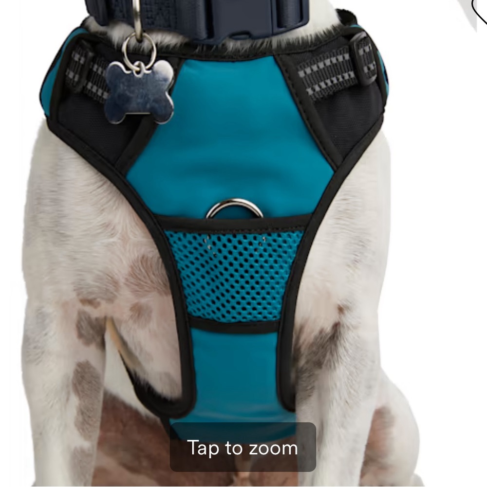 EveryYay Embrace the Pace Teal Reflective Dog Harness Small New w/ tag cut off - Picture 4 of 9